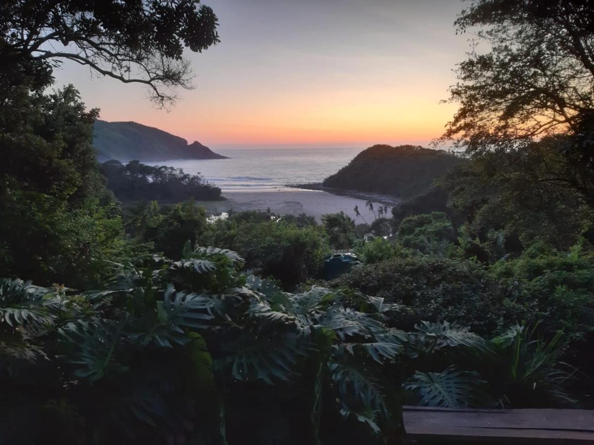 Seaview Forest Cottage Port Saint Johnʼs Dış mekan fotoğraf